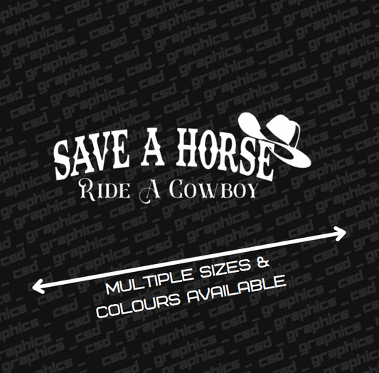 save a hourse ride a cowboy